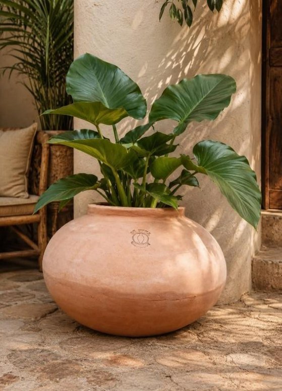 Maceta Oasis